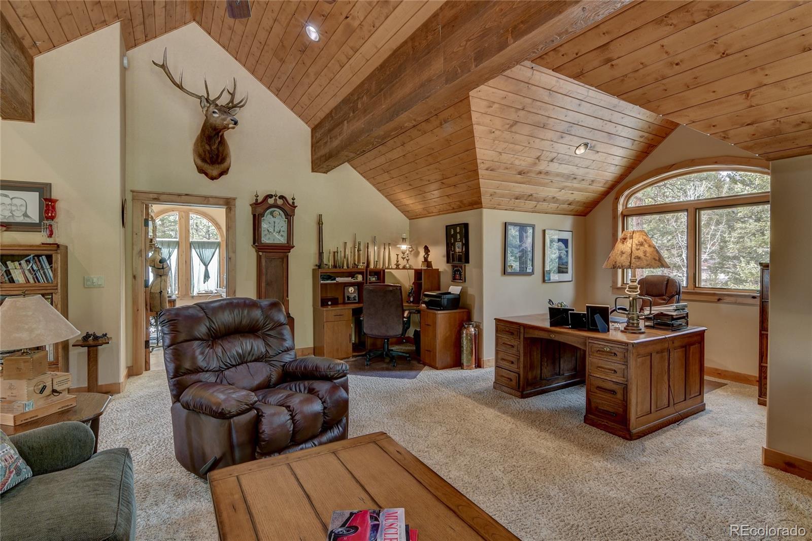 30460 Harvard Circle Buena Vista CO 81211