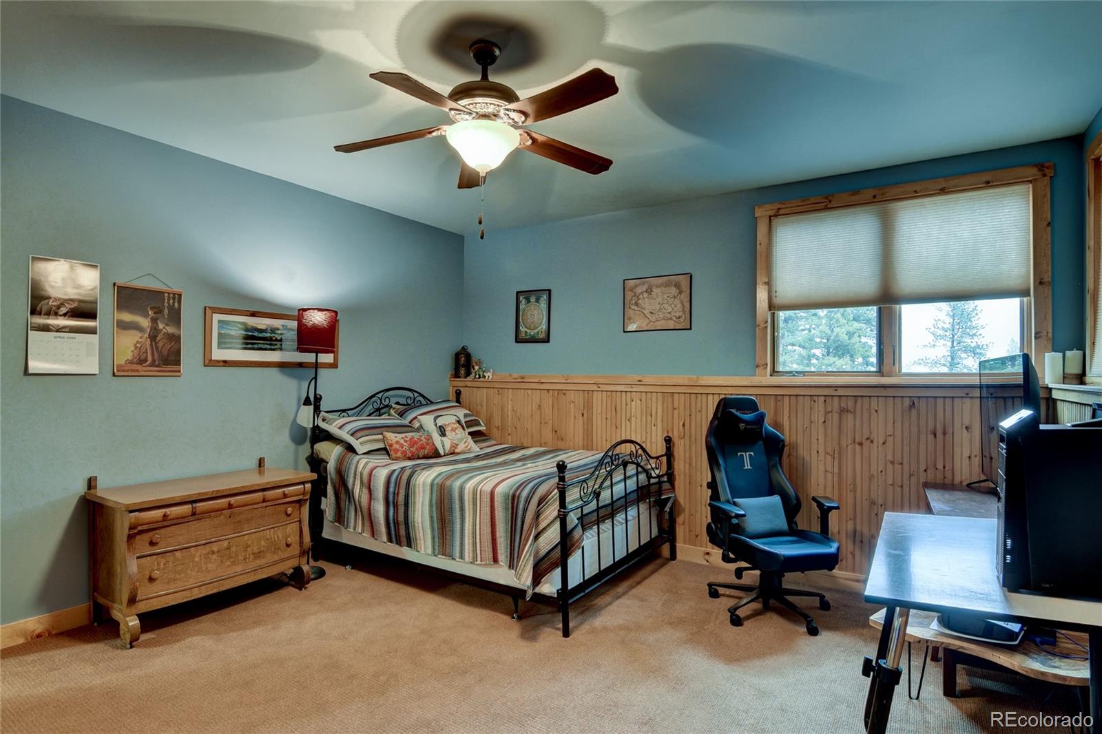 30460 Harvard Circle Buena Vista CO 81211
