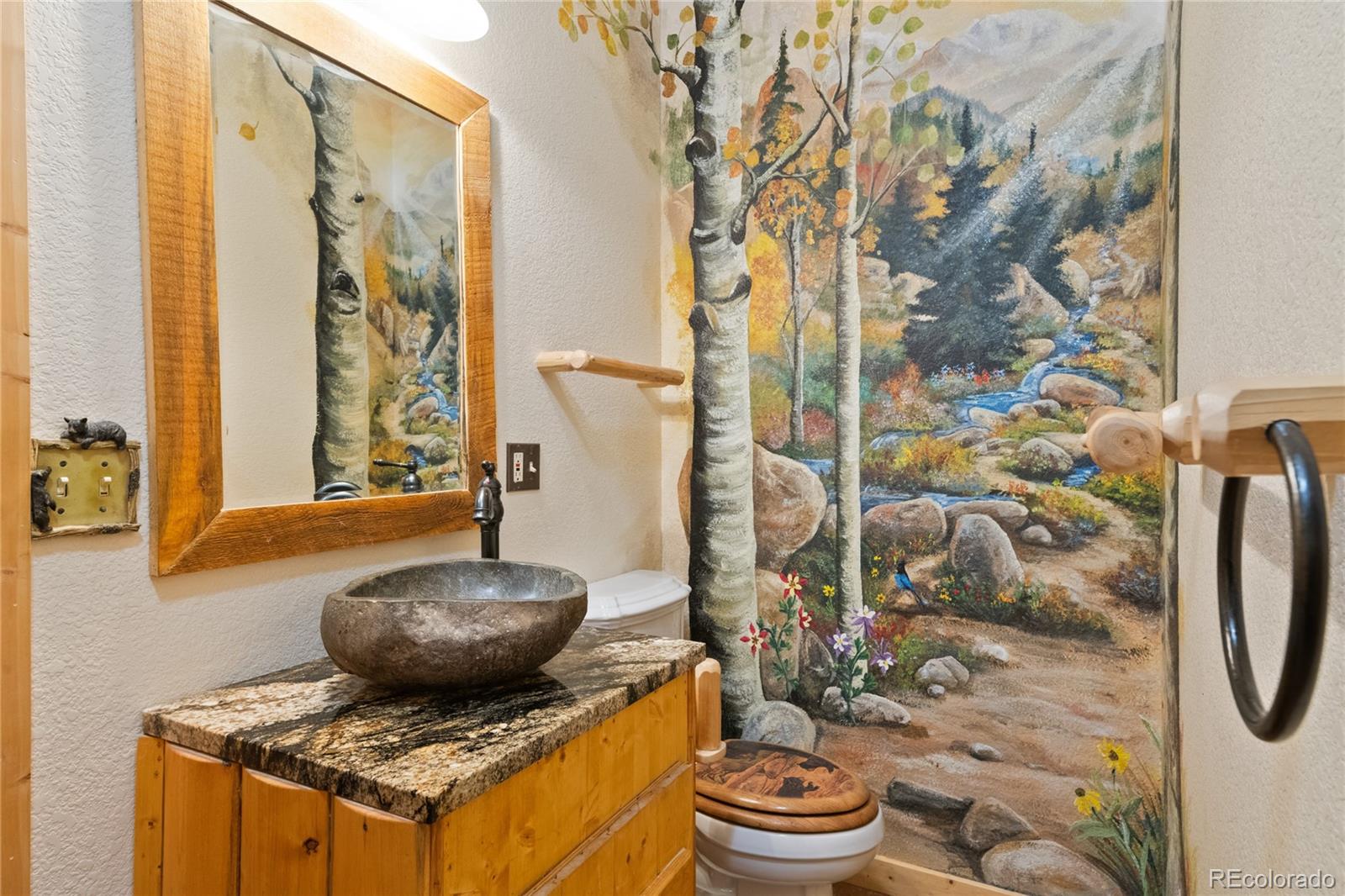 311 Panther Court Woodland Park CO 80863