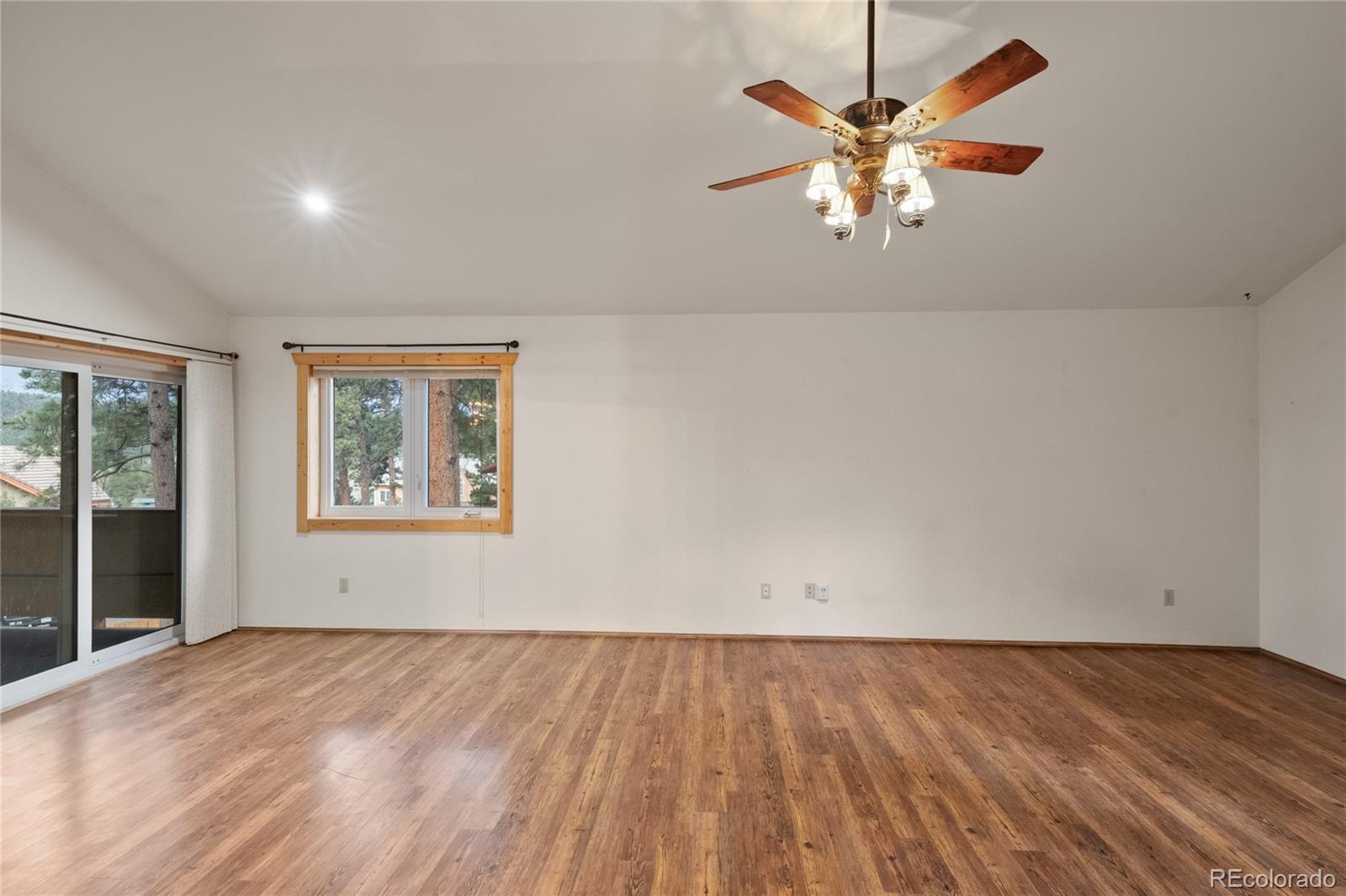 311 Panther Court Woodland Park CO 80863