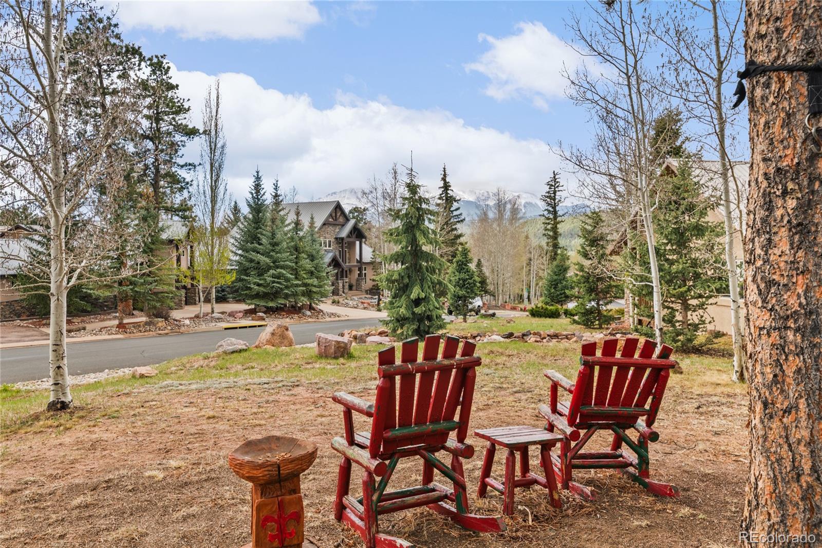 311 Panther Court Woodland Park CO 80863