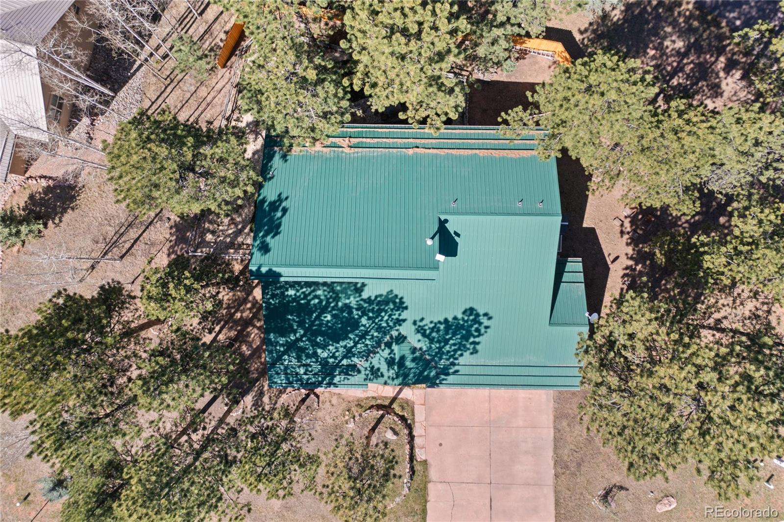 311 Panther Court Woodland Park CO 80863