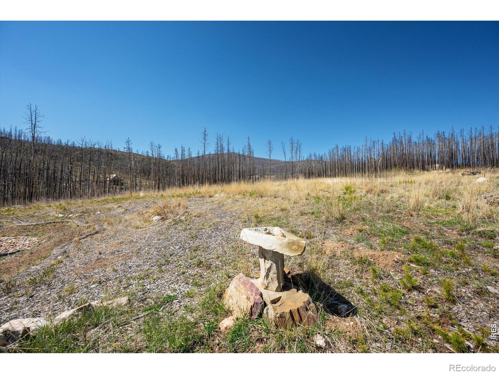 777 Powder Horn Trail Bellvue CO 80512