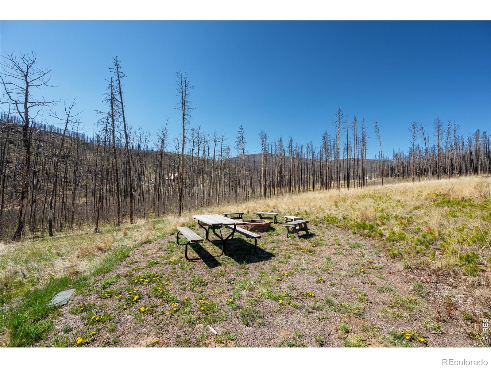 777 Powder Horn Trail Bellvue CO 80512