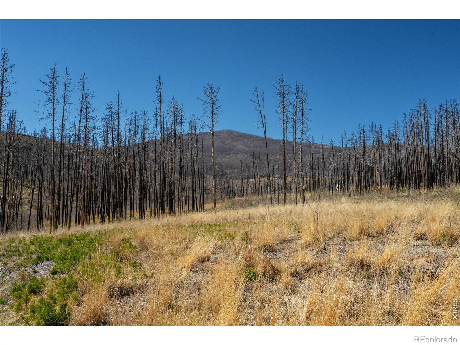 777 Powder Horn Trail Bellvue CO 80512