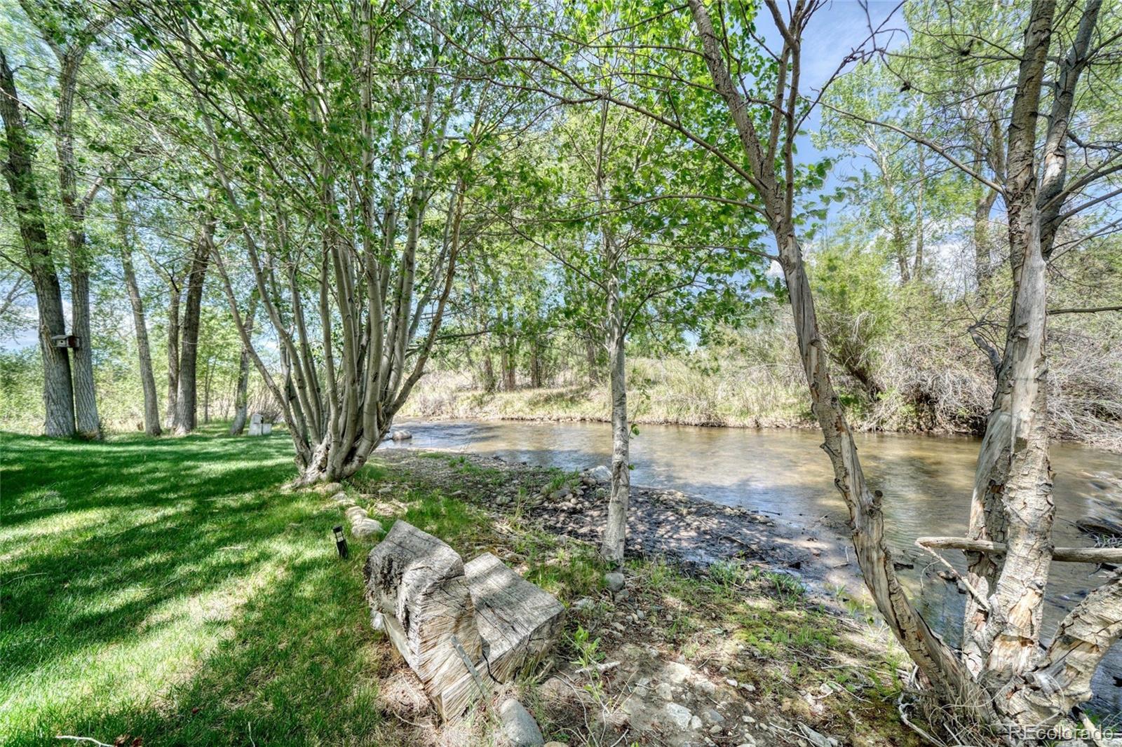 1113 Little River Lane Poncha Springs CO 81242