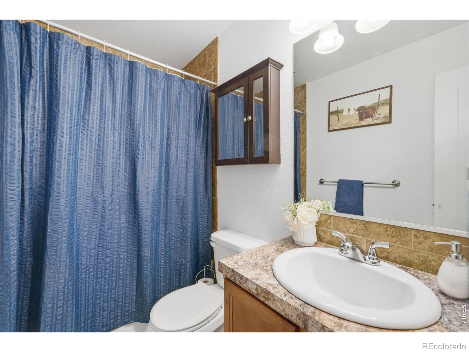 4817 Everest Place Greeley CO 80634