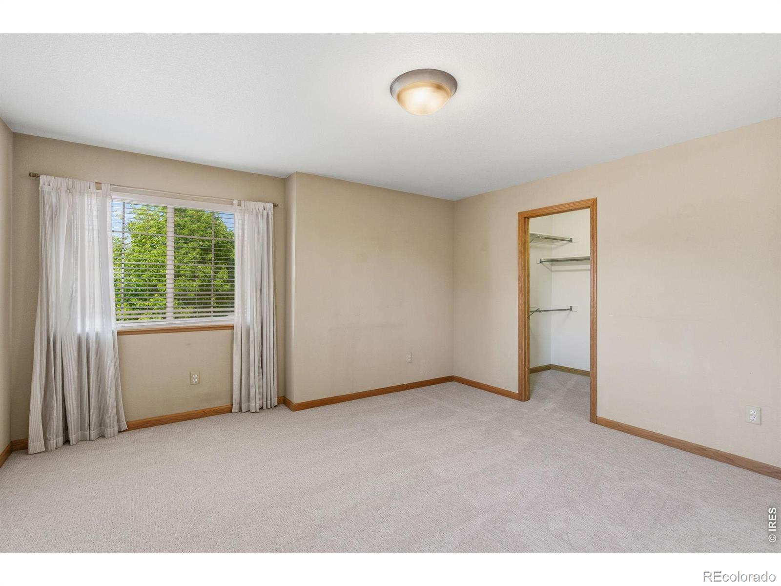 535 Lakeside Place Windsor CO 80550