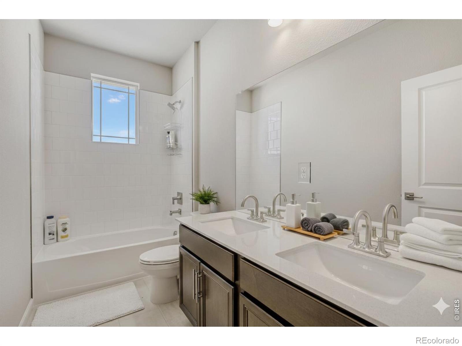 656 Noola Street Windsor CO 80550