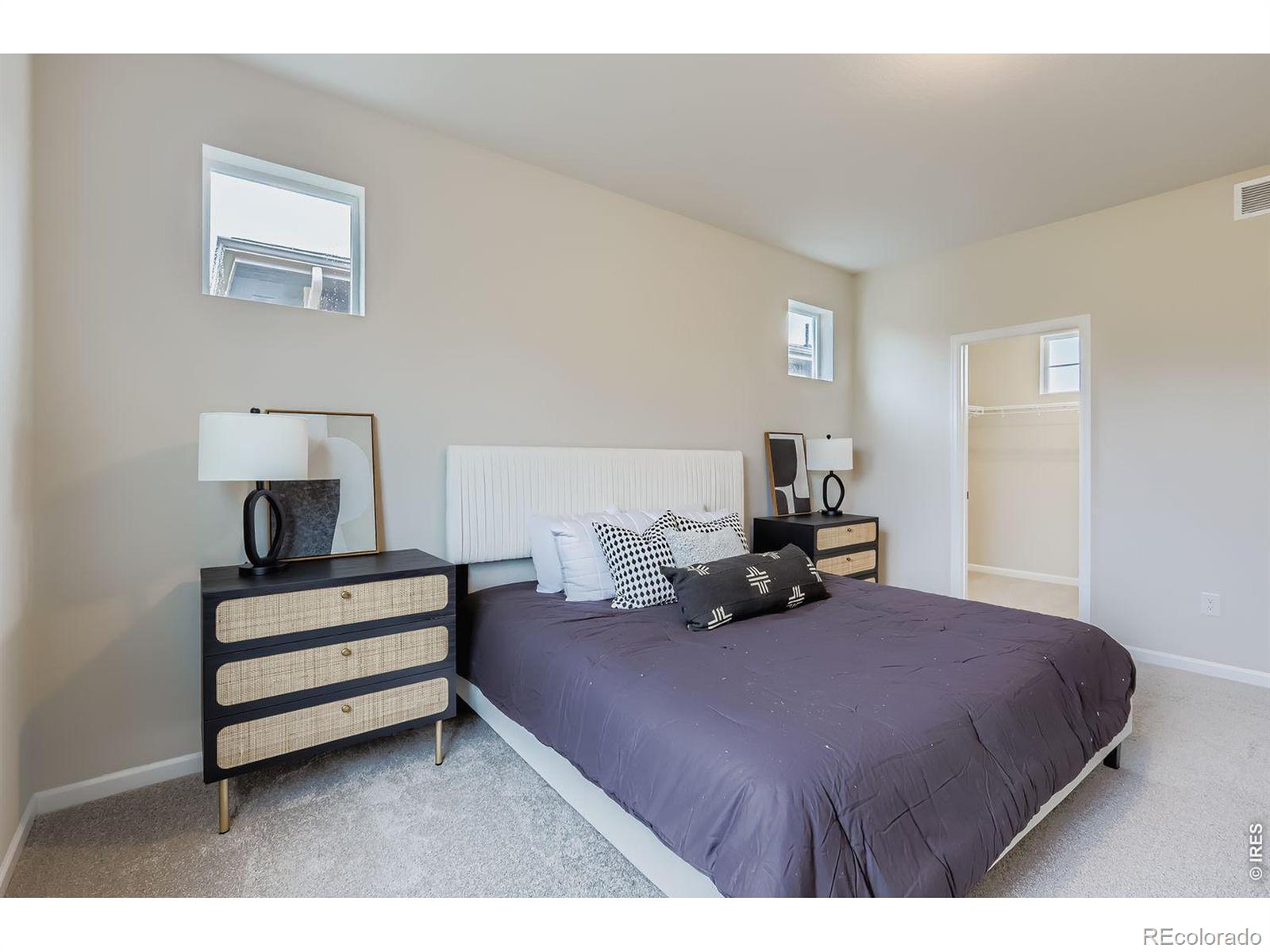 656 Noola Street Windsor CO 80550