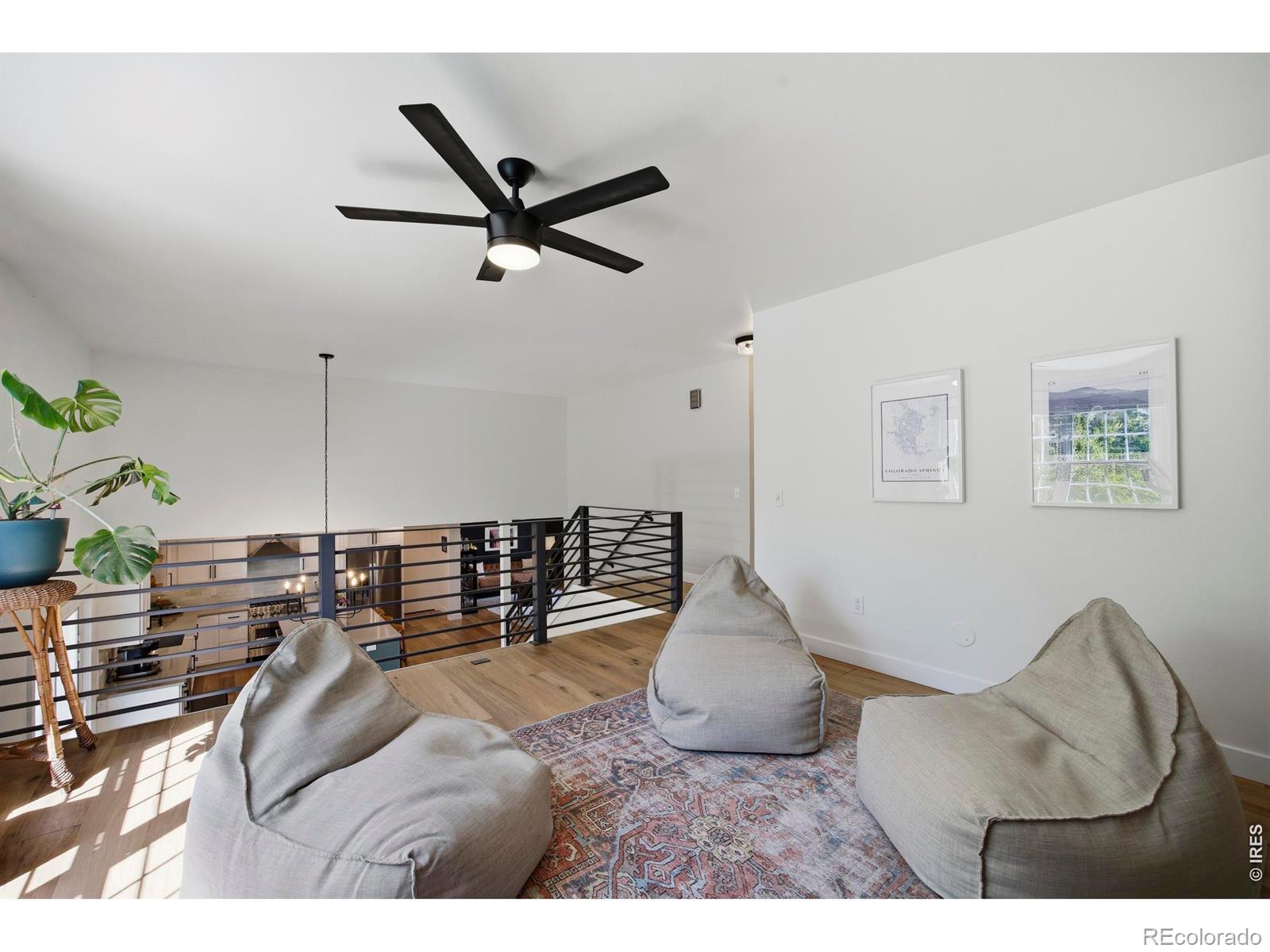 1229 Mansfield Drive Fort Collins CO 80525