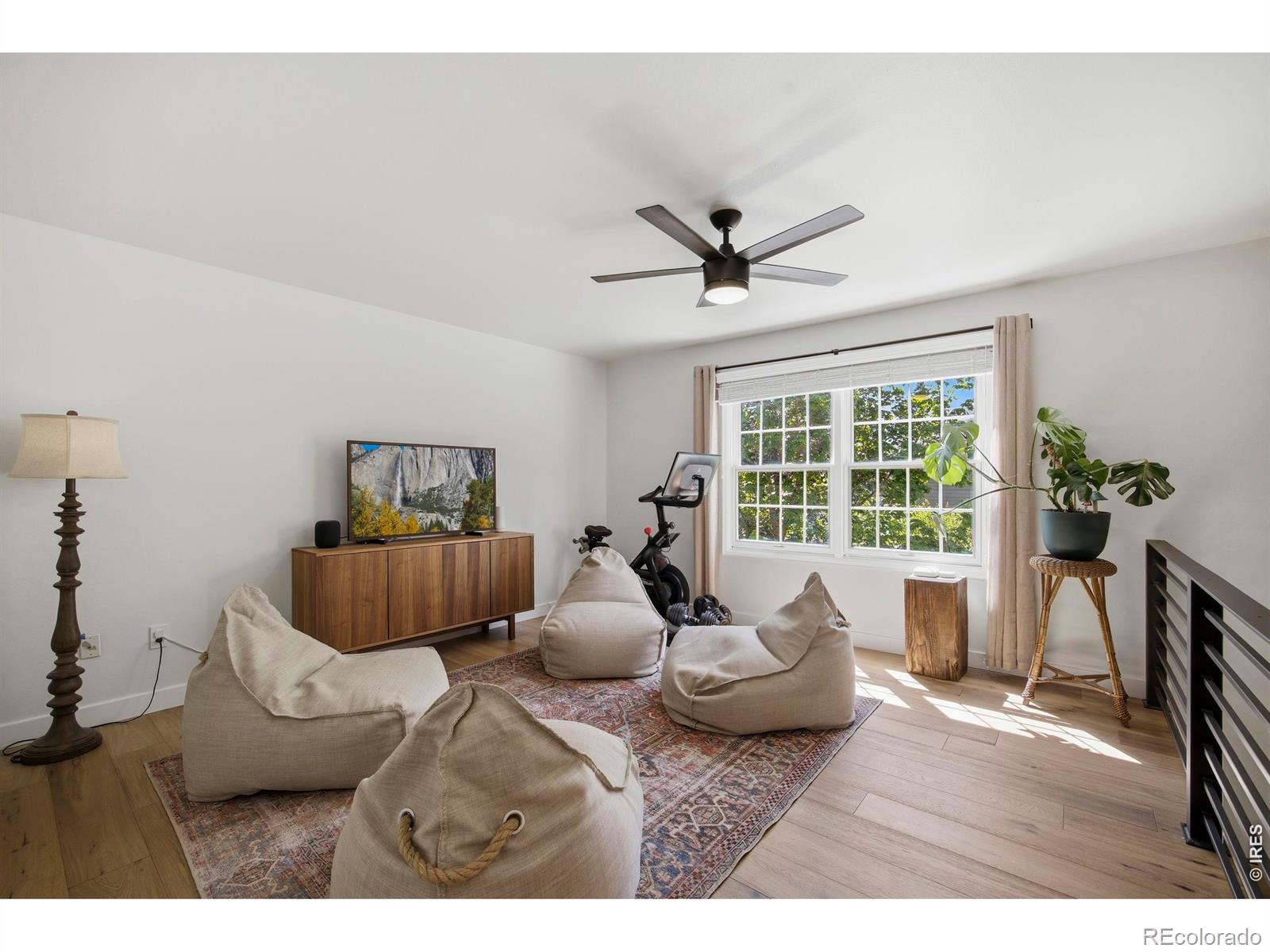 1229 Mansfield Drive Fort Collins CO 80525