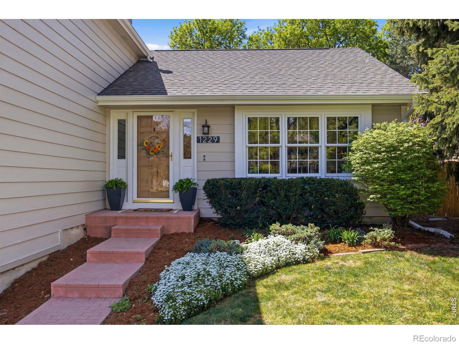 1229 Mansfield Drive Fort Collins CO 80525