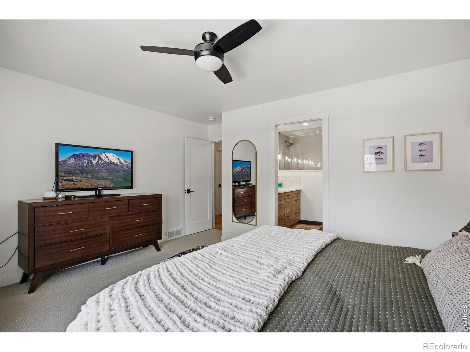 1229 Mansfield Drive Fort Collins CO 80525