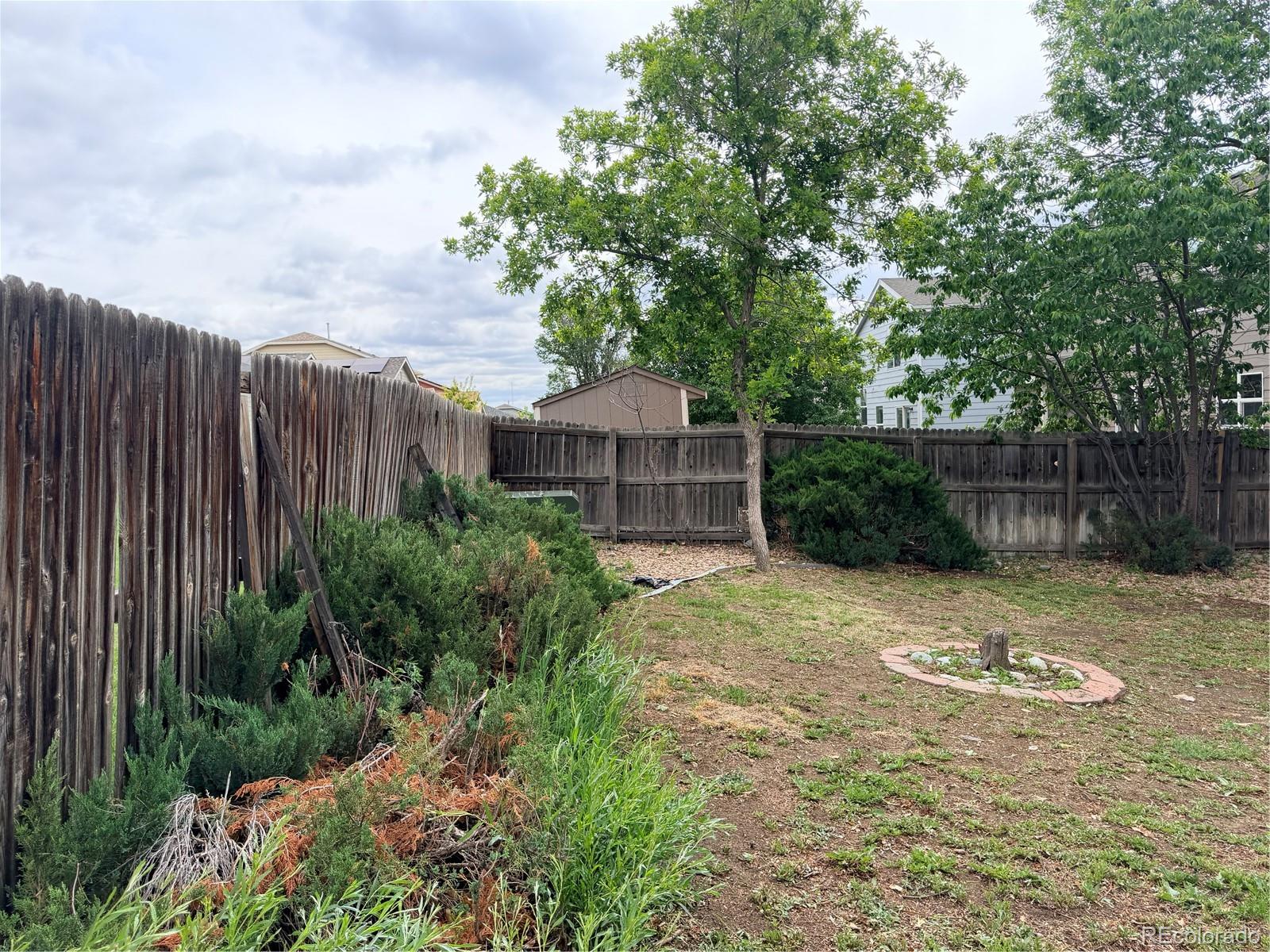 4305 E 94th Place Thornton CO 80229