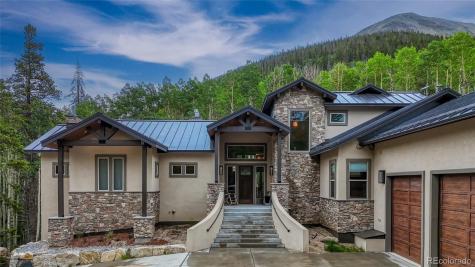 25735 County Road 295 Nathrop CO 81236