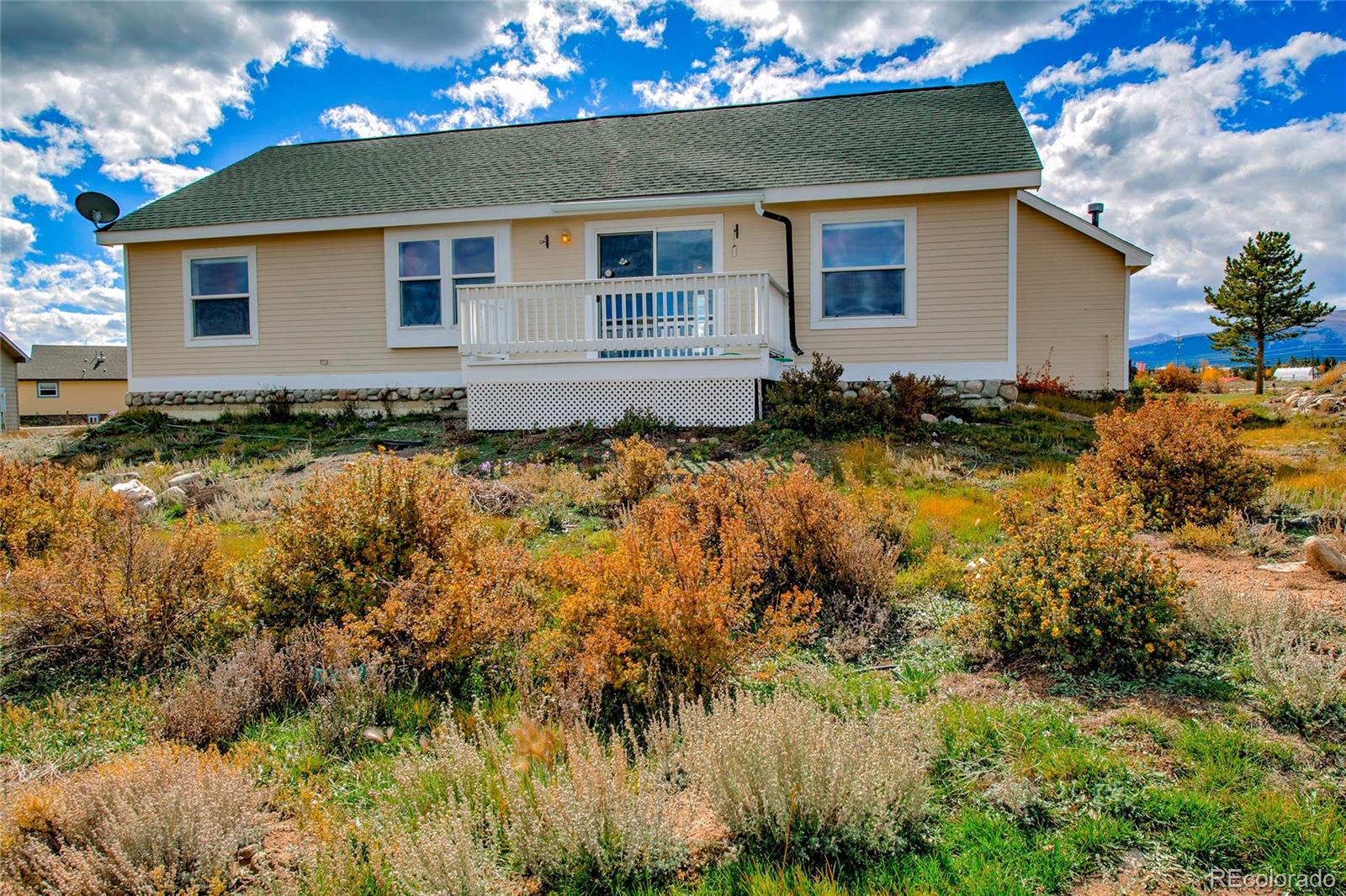 1140 Meadow Drive Fairplay CO 80440