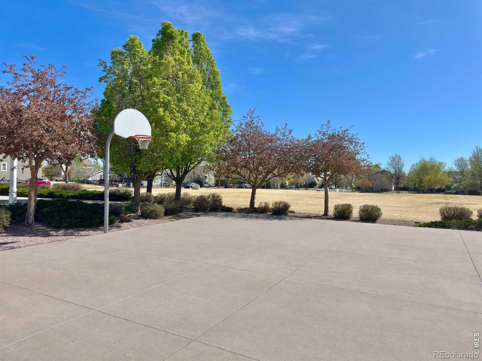 10208 W 13th Street Greeley CO 80634