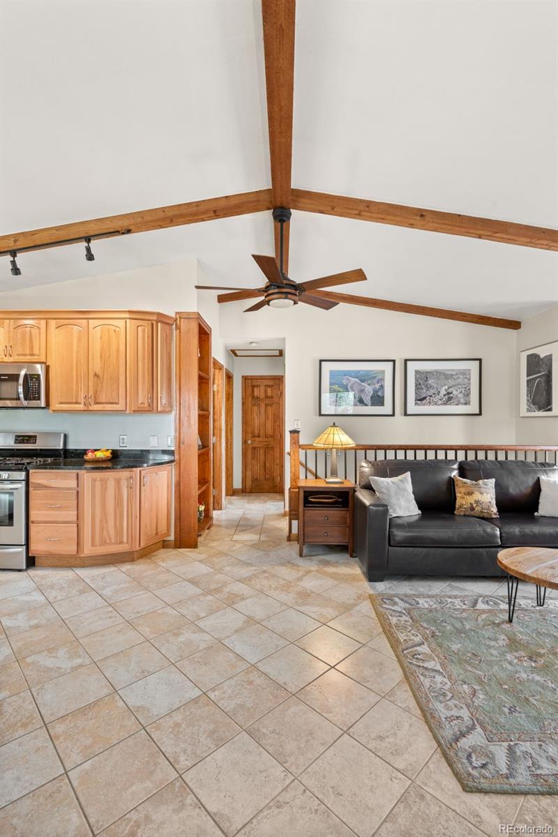 181 Catamount Ridge Road Bailey CO 80421