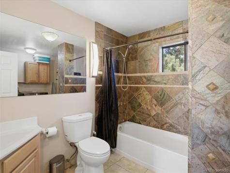 209 Pine Drive Bailey CO 80421