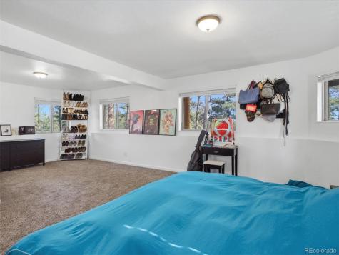 209 Pine Drive Bailey CO 80421