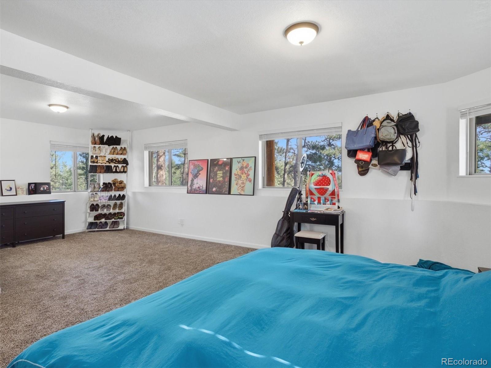 209 Pine Drive Bailey CO 80421