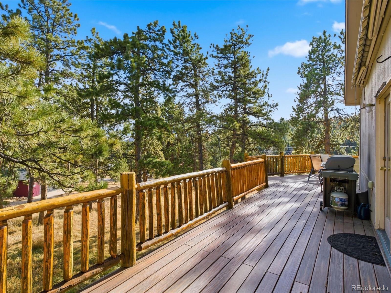209 Pine Drive Bailey CO 80421
