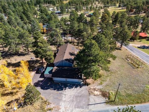 209 Pine Drive Bailey CO 80421