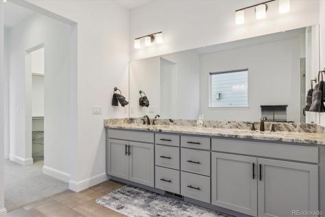 264 Kitselman Drive Castle Rock CO 80104