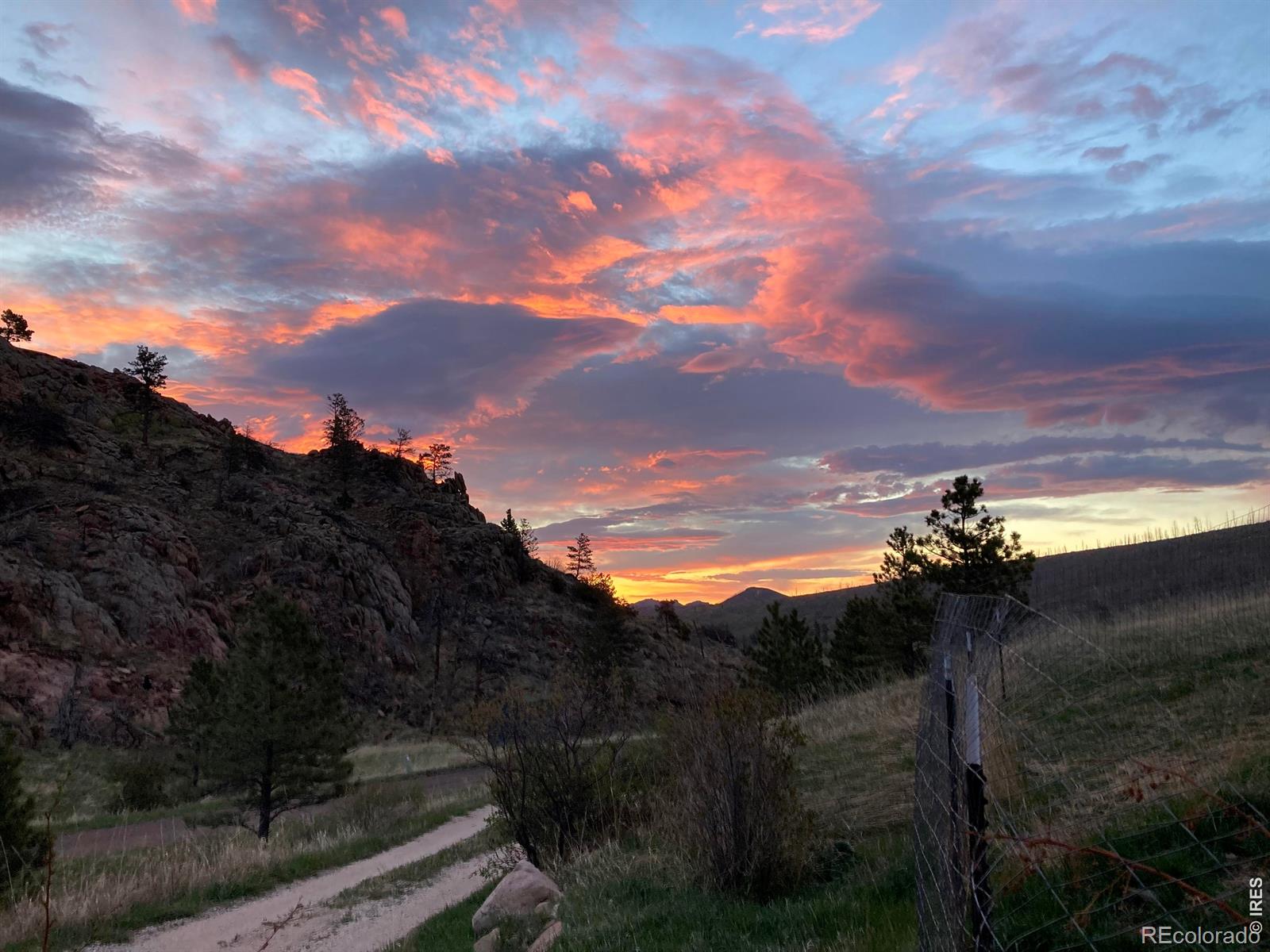 1652 Eiger Road Livermore CO 80536