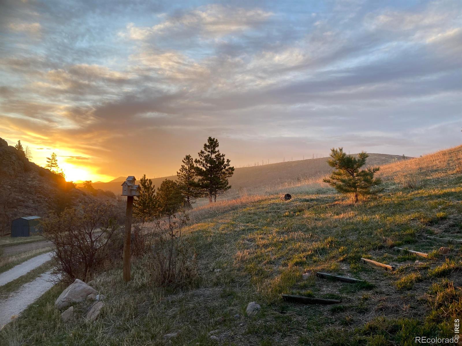 1652 Eiger Road Livermore CO 80536