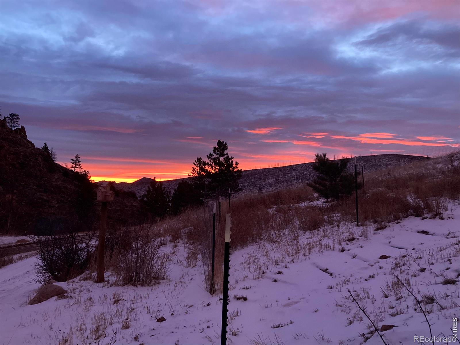 1652 Eiger Road Livermore CO 80536