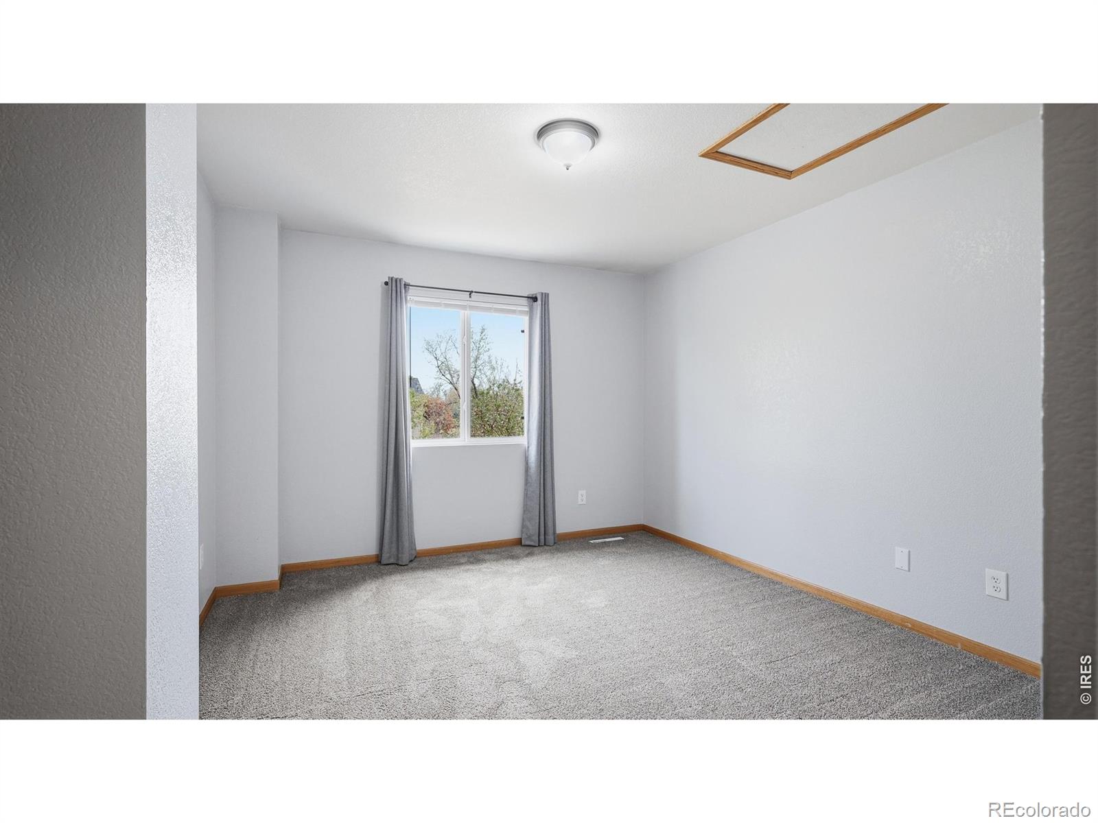 705 Apple Court Windsor CO 80550