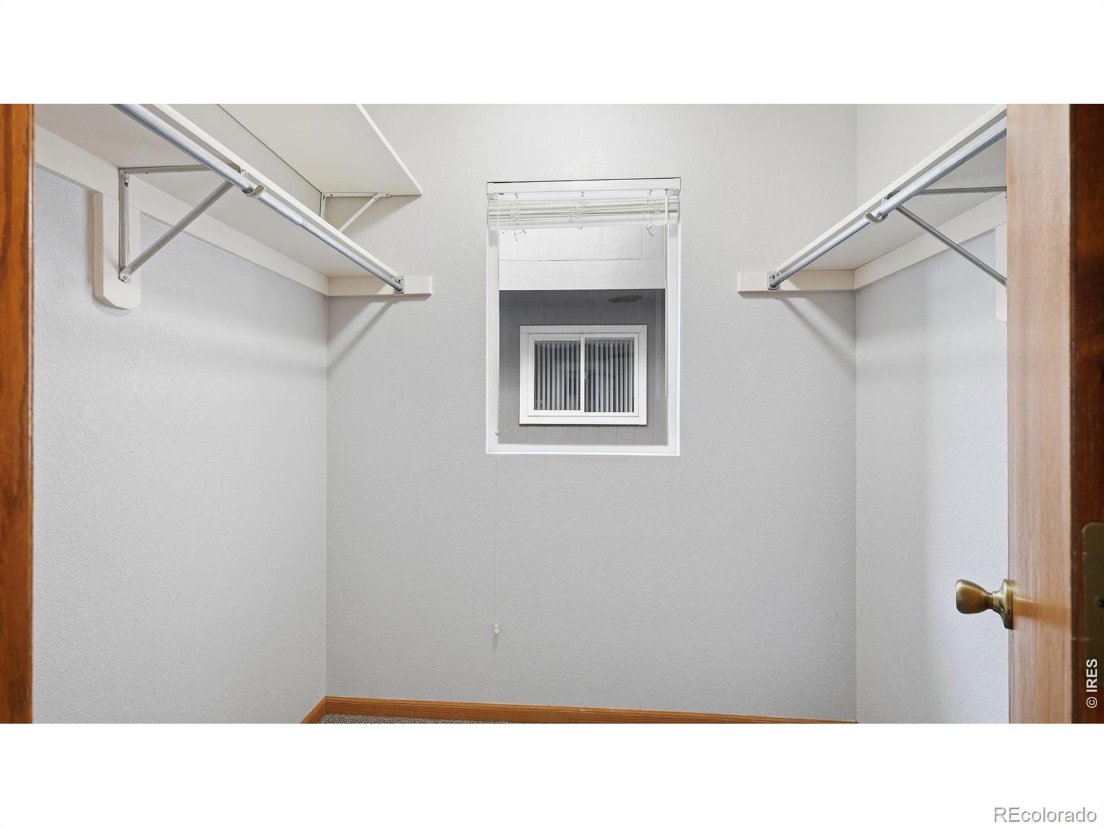 705 Apple Court Windsor CO 80550