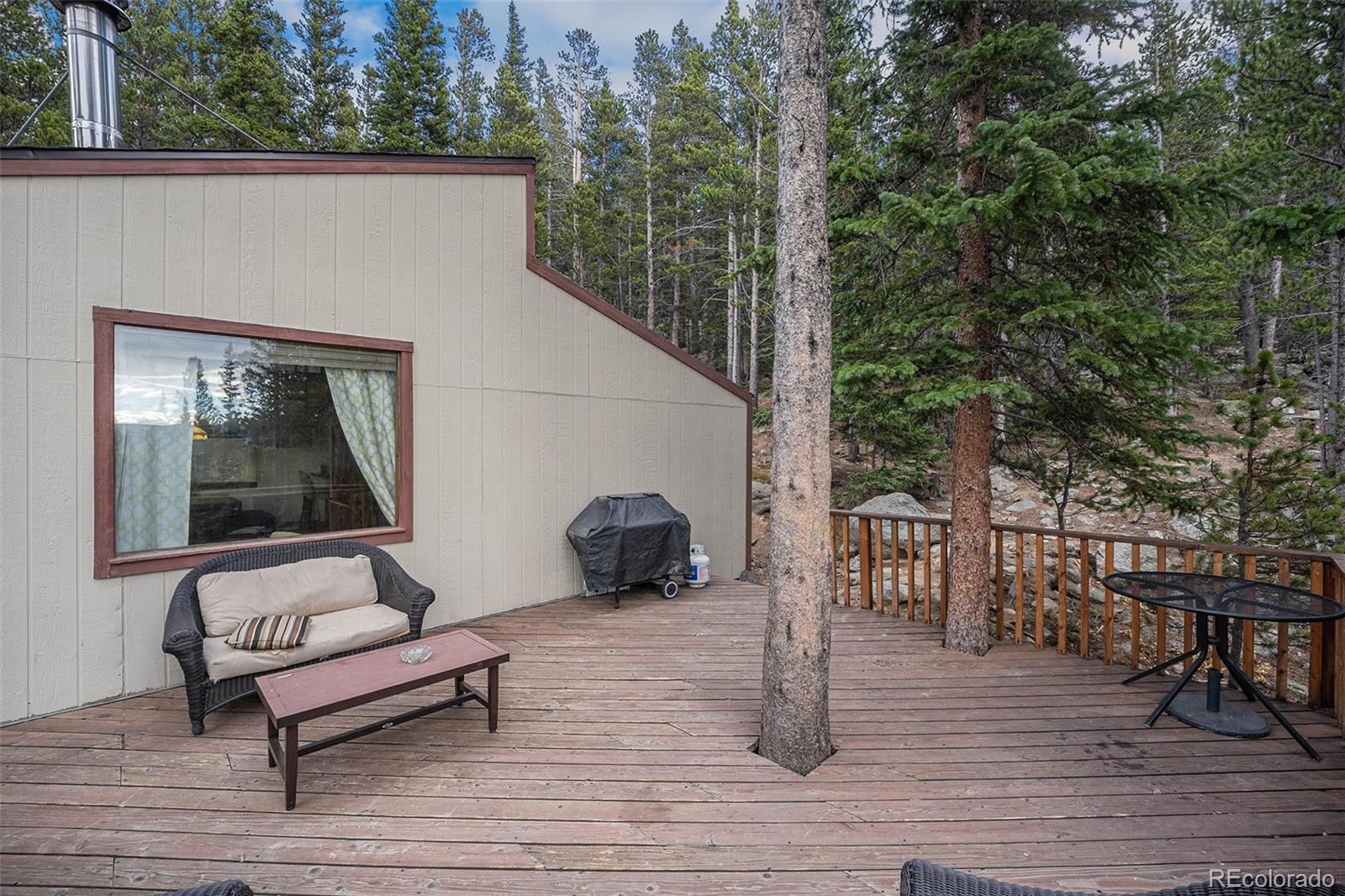 200 Crest Drive Idaho Springs CO 80452