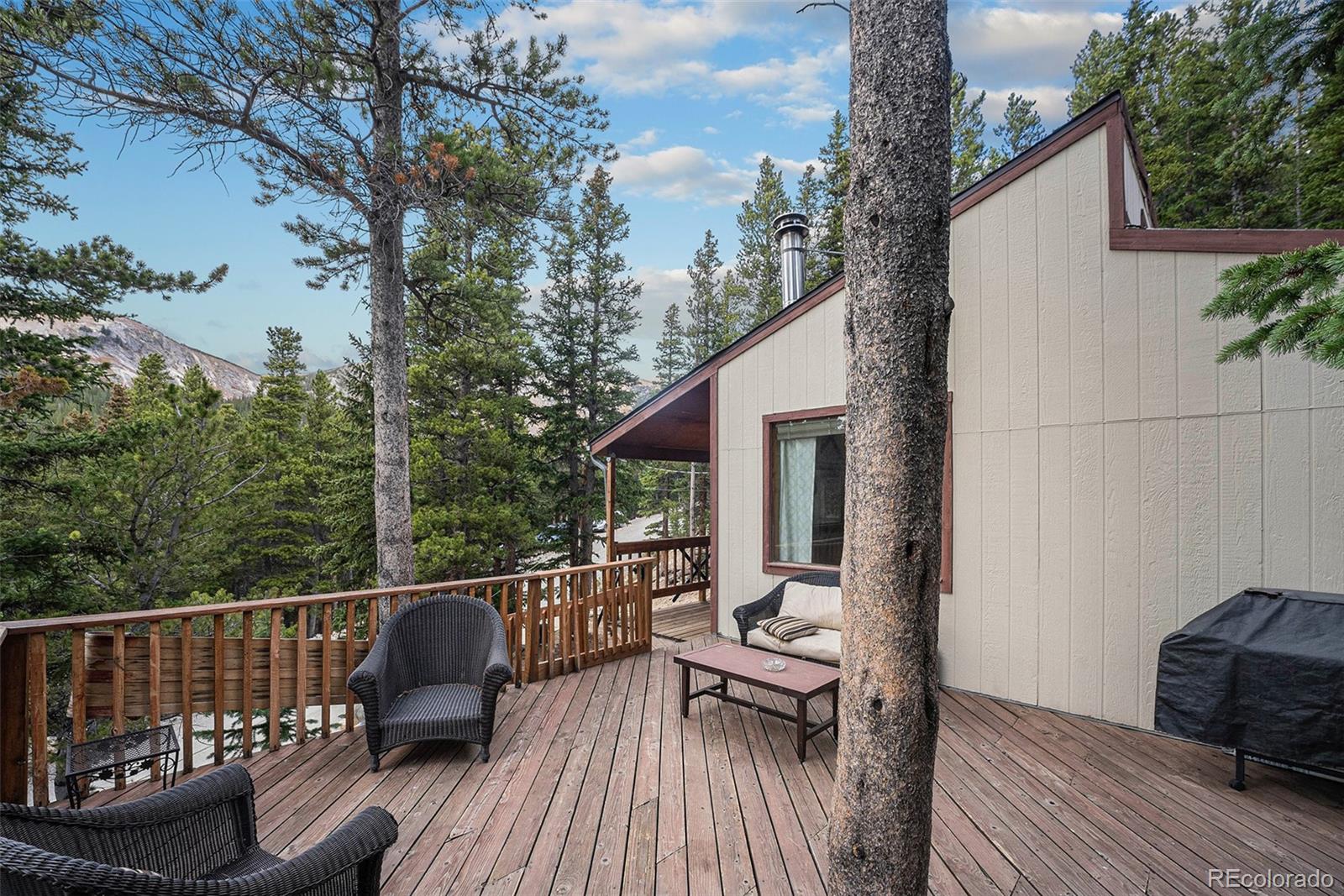 200 Crest Drive Idaho Springs CO 80452