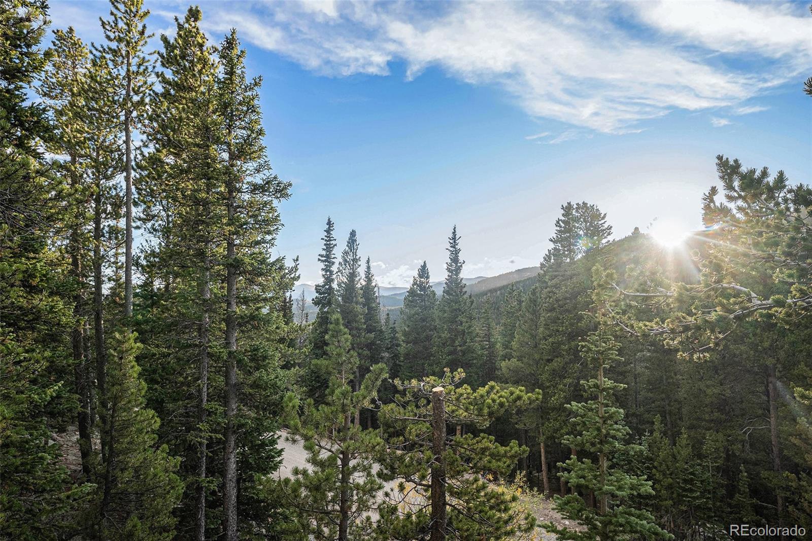 200 Crest Drive Idaho Springs CO 80452