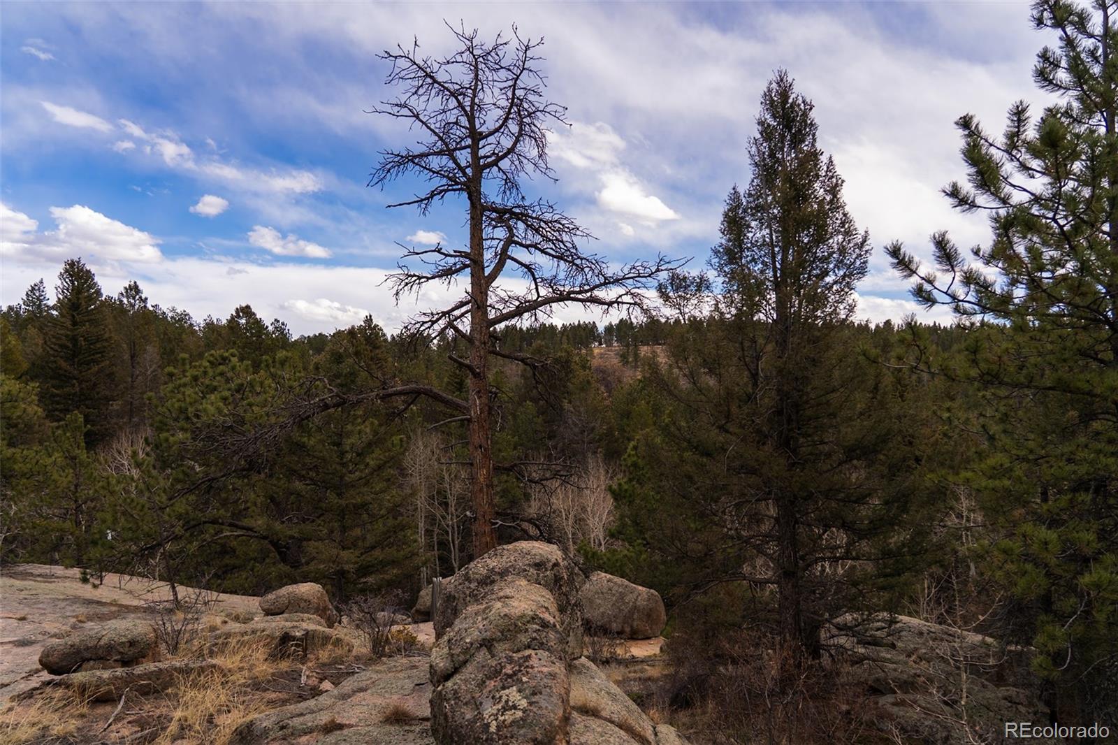 12581 S Us Highway 285 Conifer CO 80433