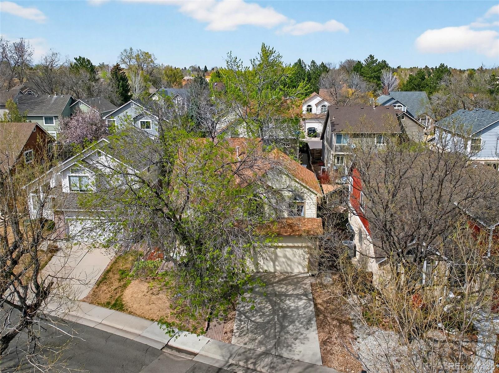 10023 W 81st Lane Arvada CO 80005