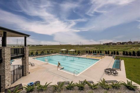 8599 Yellowcress Street Littleton CO 80125