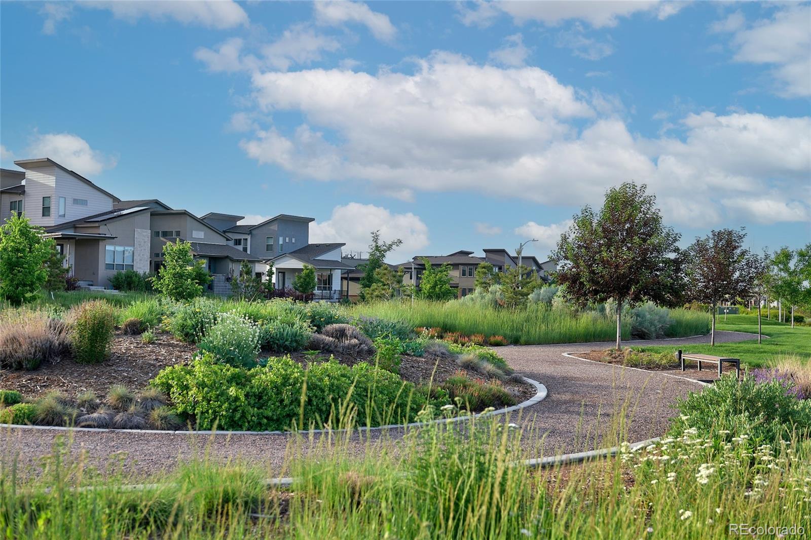 8599 Yellowcress Street Littleton CO 80125