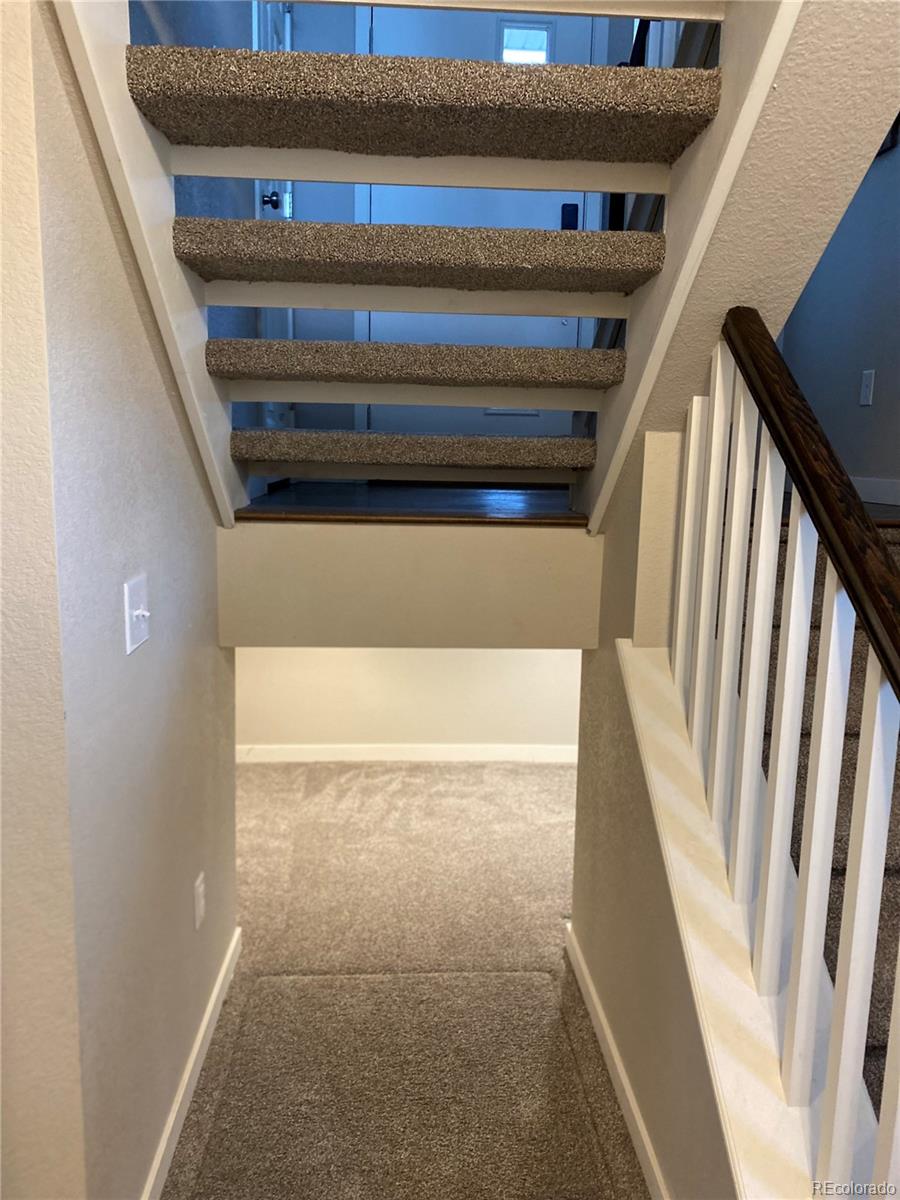 3732 Sanguine Circle Castle Rock CO 80109
