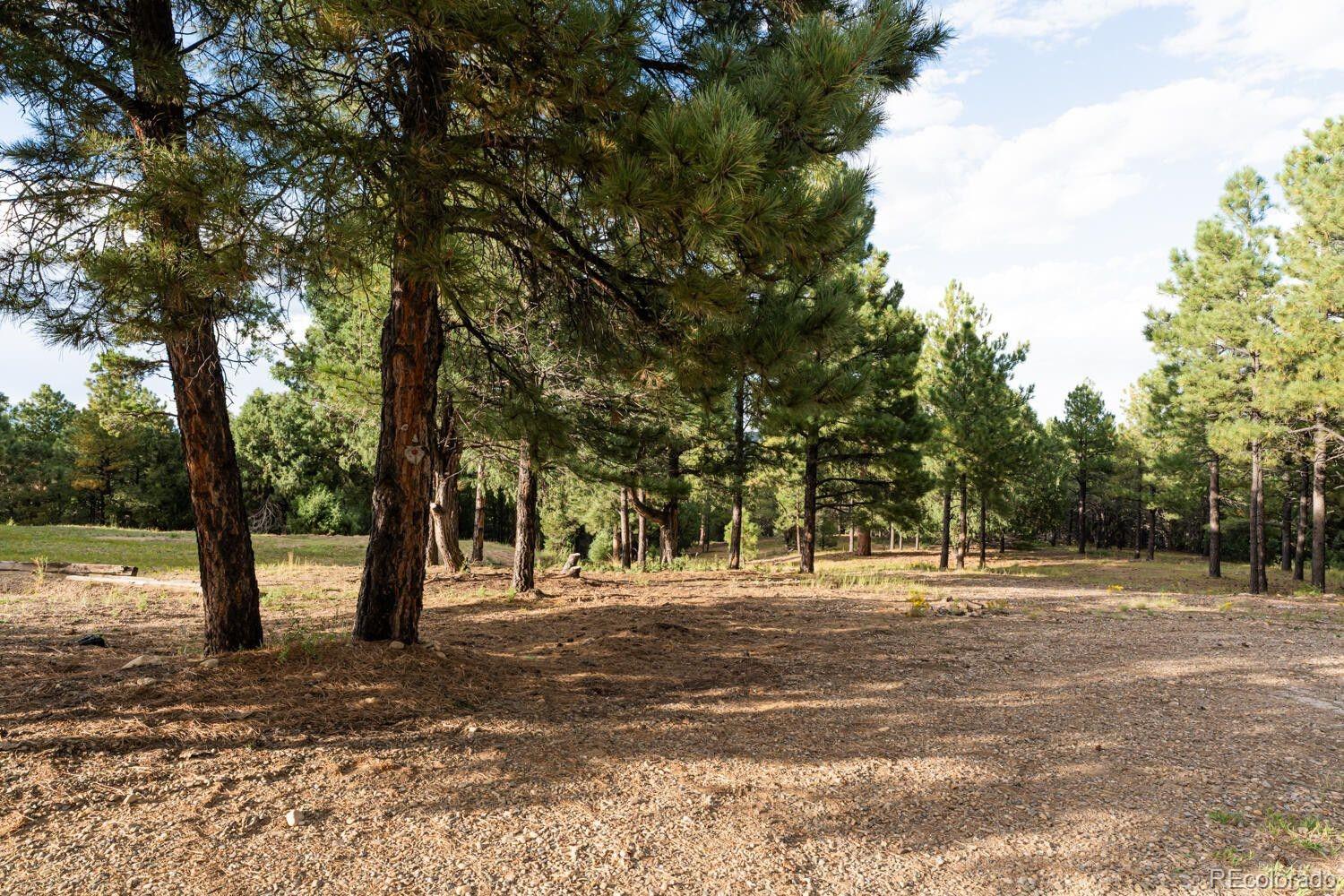 538 Rugby Mines Road Walsenburg CO 81089