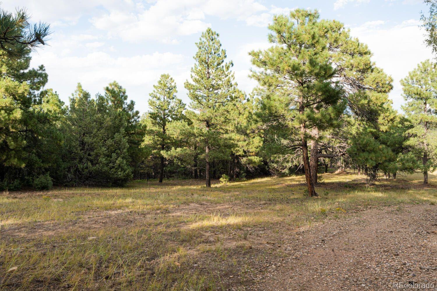 538 Rugby Mines Road Walsenburg CO 81089