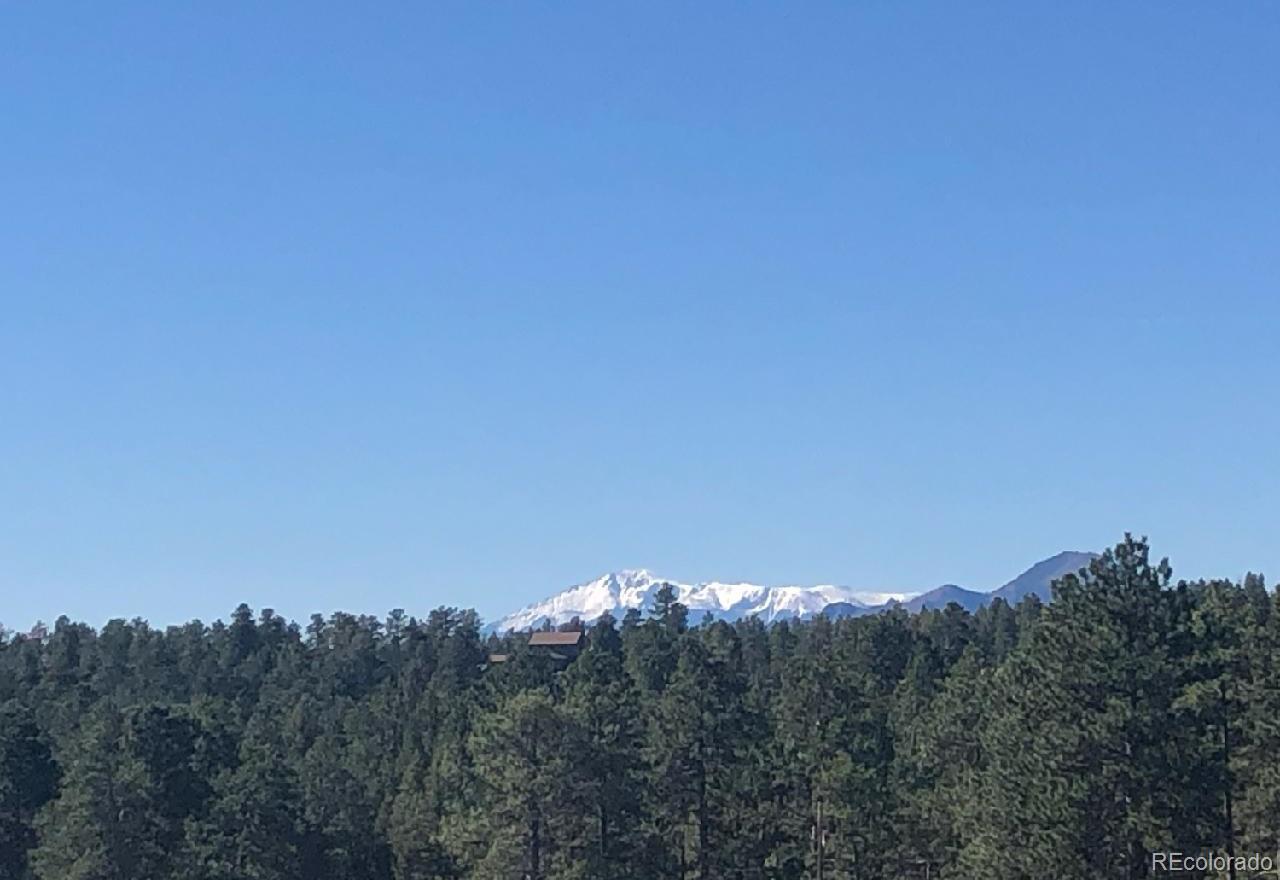 21605 Spring Creek Road Buffalo Creek CO 80425