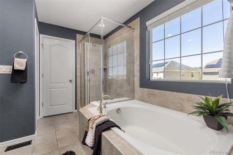 3021 Leafdale Drive Castle Rock CO 80109