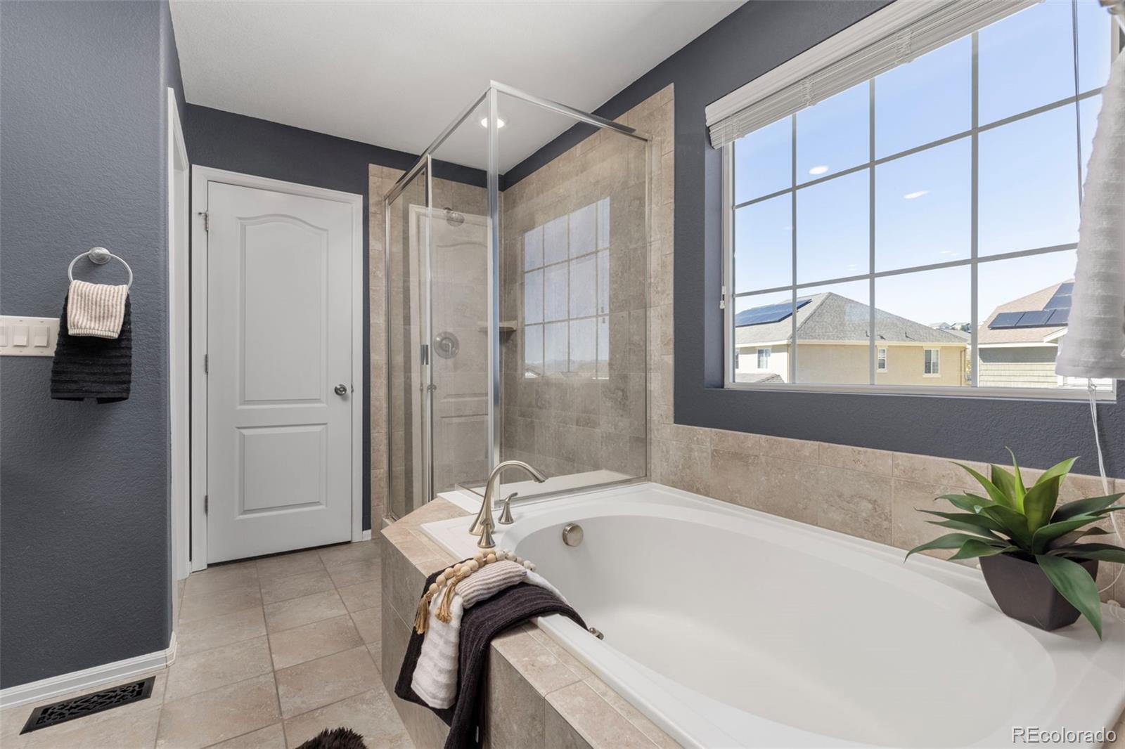 3021 Leafdale Drive Castle Rock CO 80109