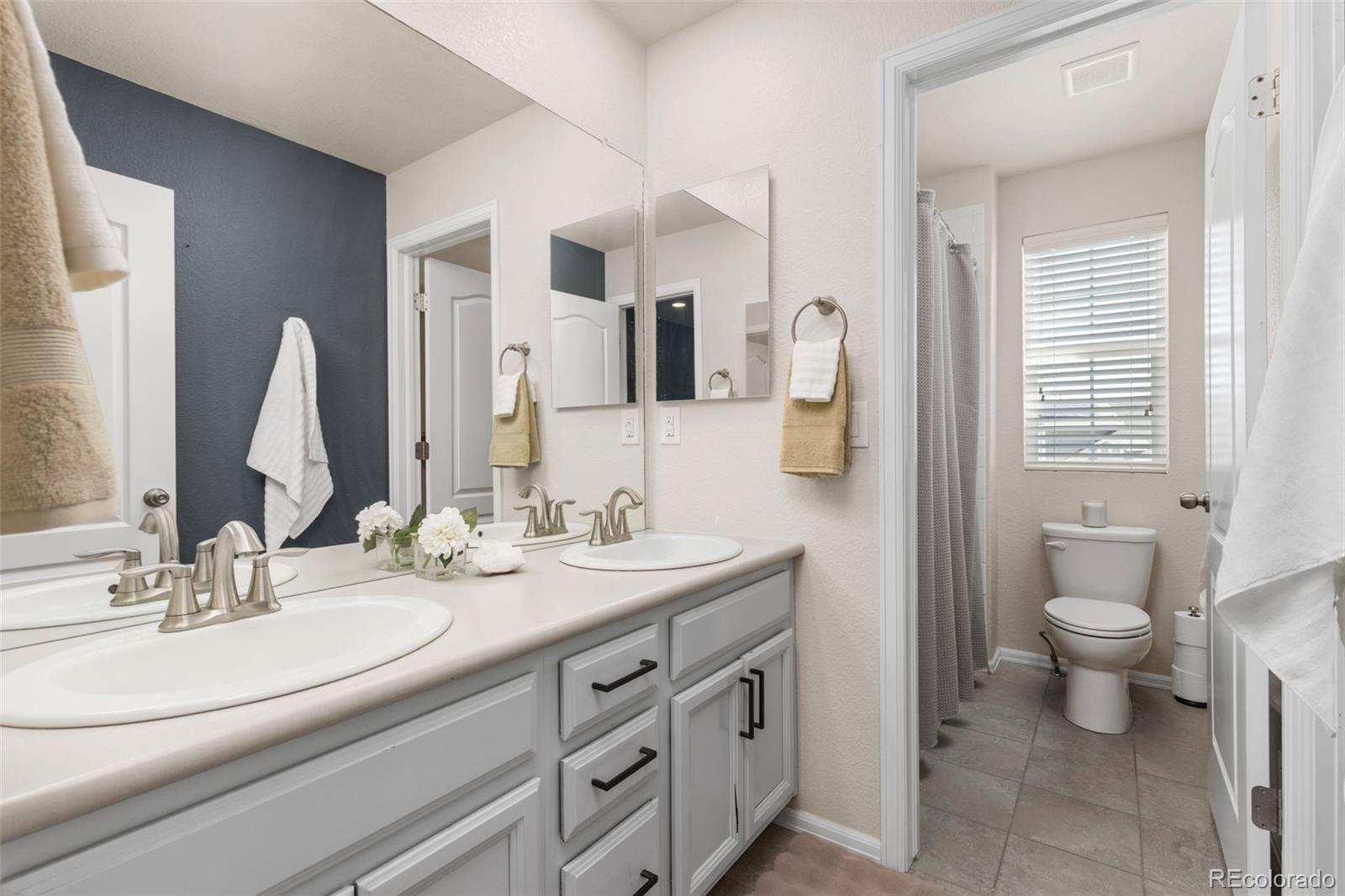 3021 Leafdale Drive Castle Rock CO 80109