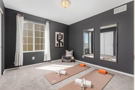3021 Leafdale Drive Castle Rock CO 80109