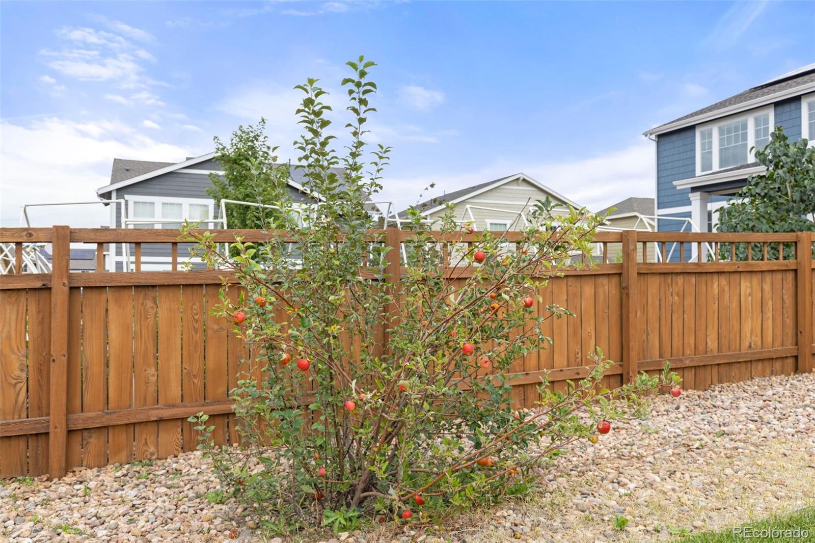 3021 Leafdale Drive Castle Rock CO 80109